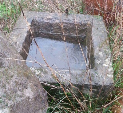Antik Taşlar