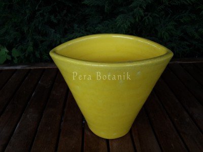 Sırlı ve Naturel Saksılar